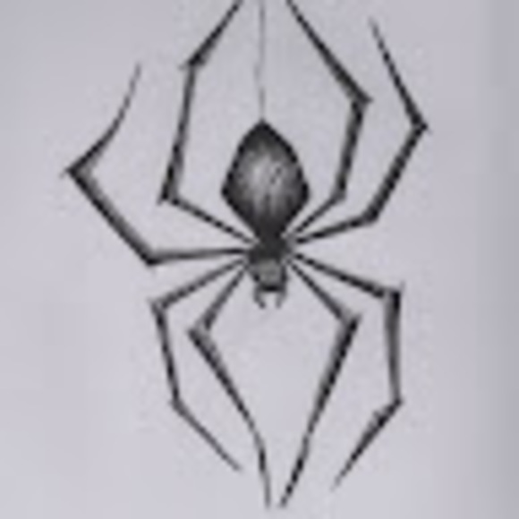 theitsyspider